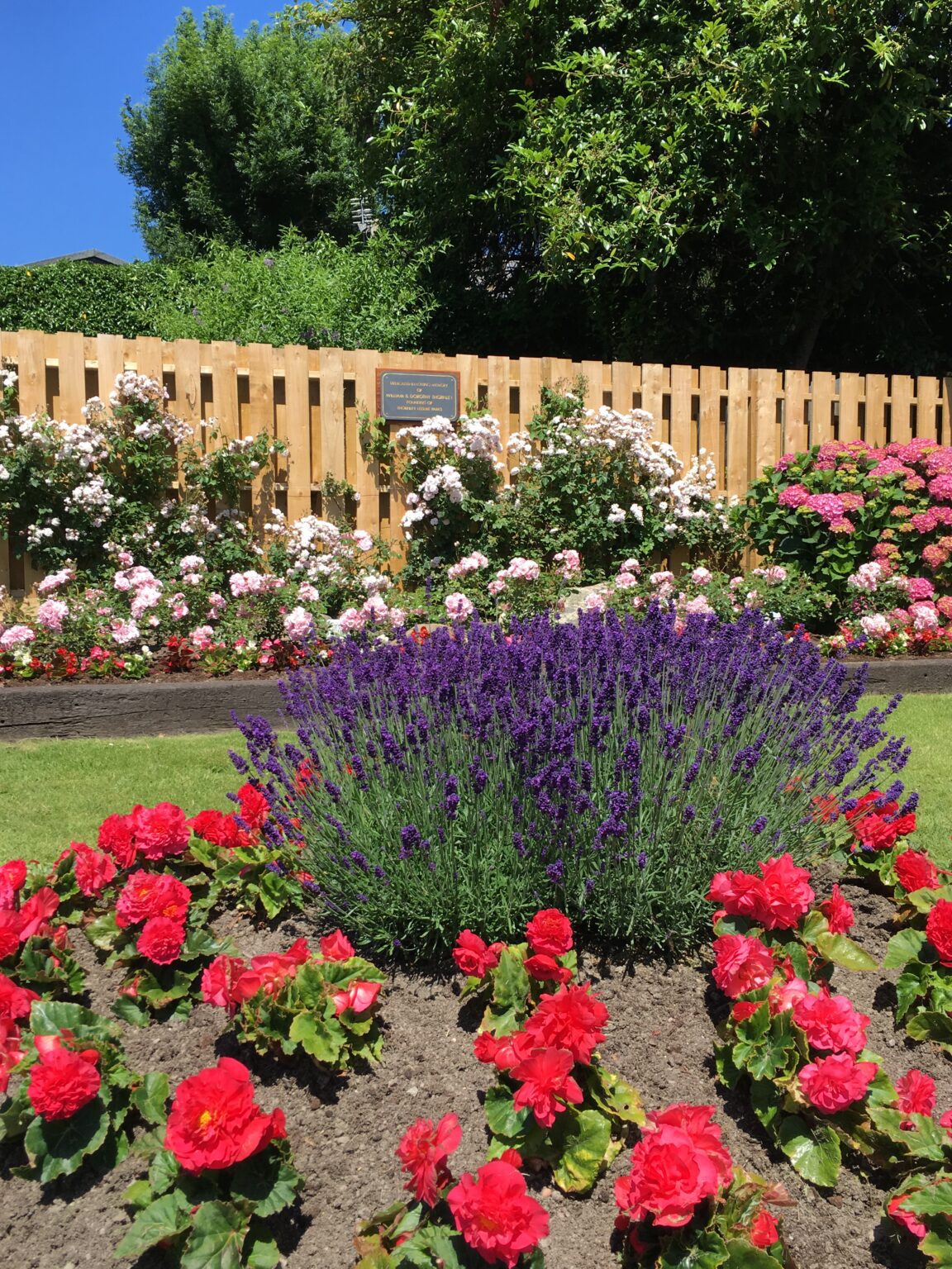 Flower bed Conwy
