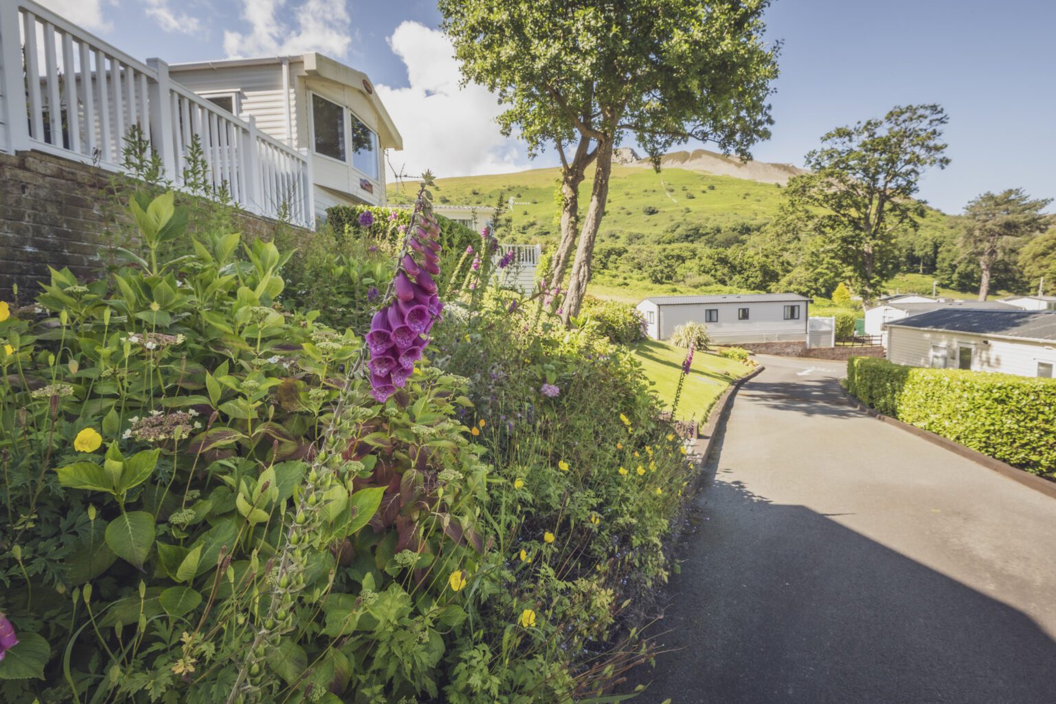 Craiglwyd Hall 13