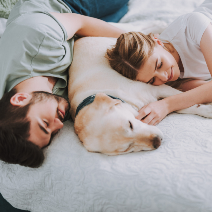 Nice young couple sleeping in bed with their dog