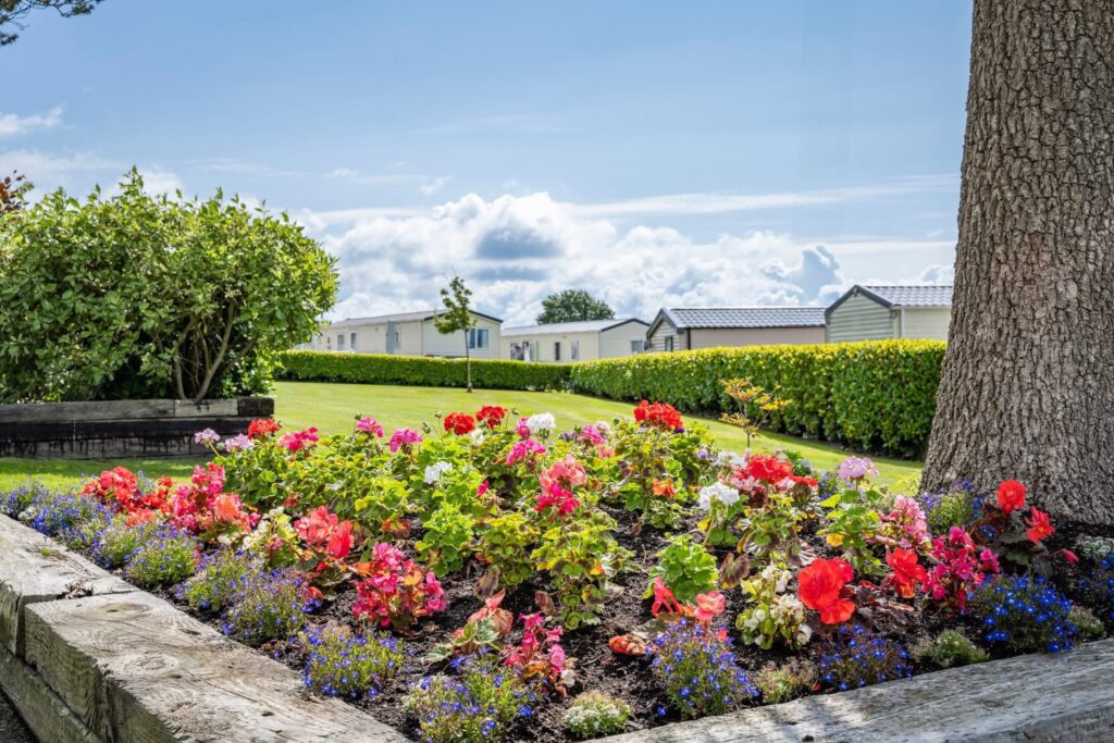 Thornley Leisure Parks Shine at Wales in Bloom 2025