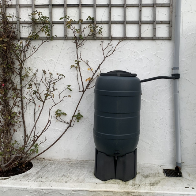 Caring for every drop