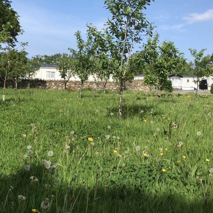 Working together for a cleaner, greener future