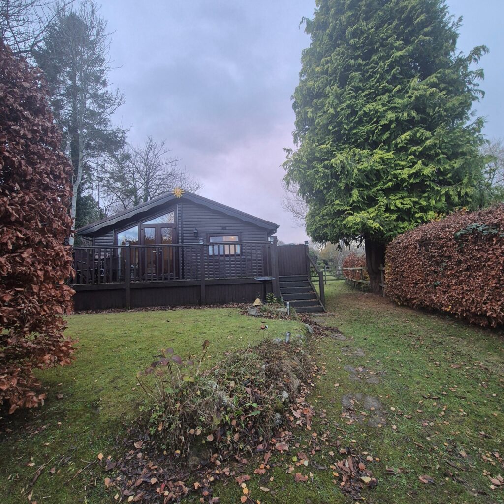 1990 Cambrian Cosalt Cezanne