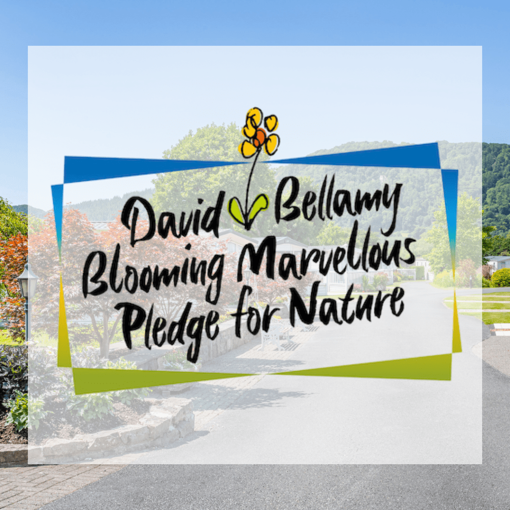 David Bellamy Blooming Marvellous Pledge for Nature