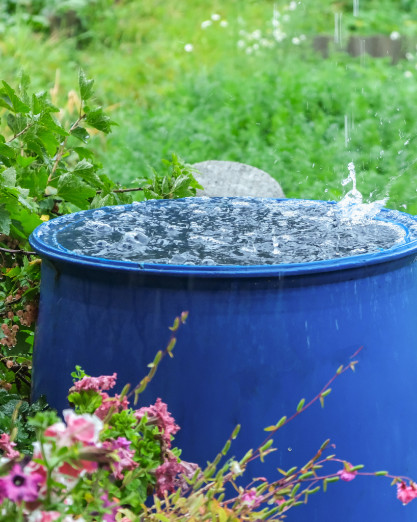 Rainwater collection at Thornley Leisure Parks