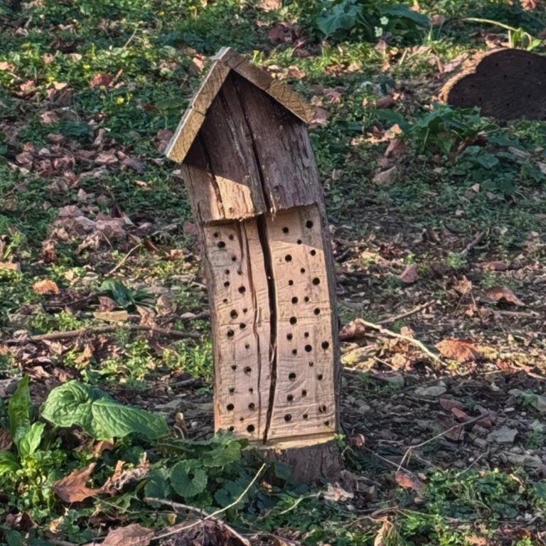 Wooden bug hotel positioned in a natural area of the park