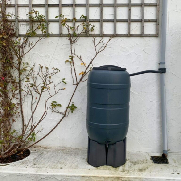 Water butt collecting rainwater beside a park building