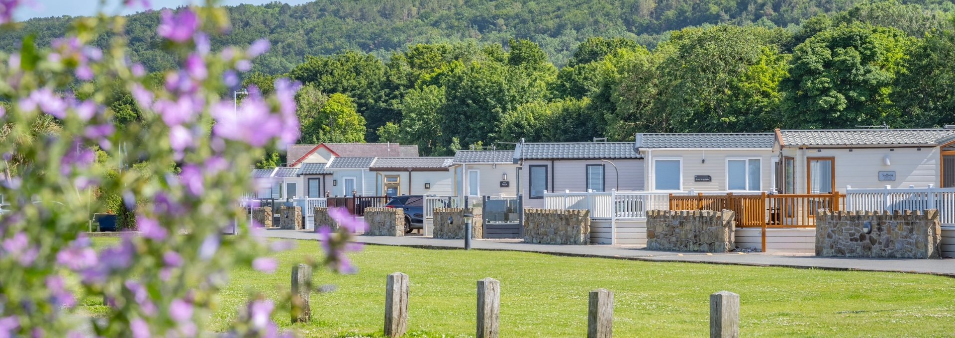 Flowering plants and holiday homes at The Beach Caravan Park