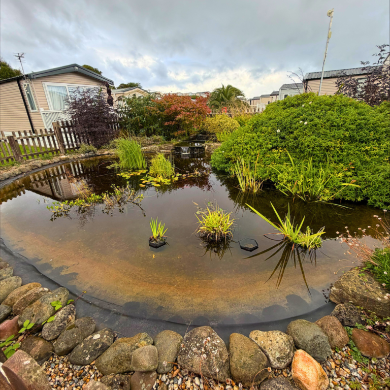 Wildlife Pond