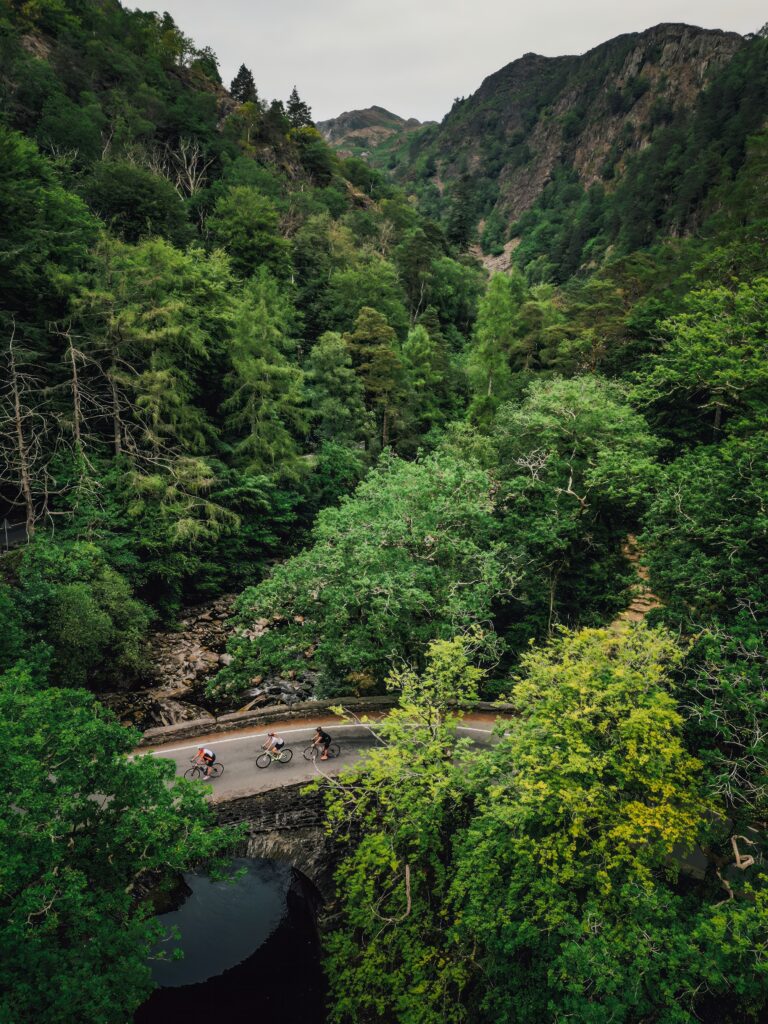 Cyclists following a winding road through a densely wooded mountain valley.