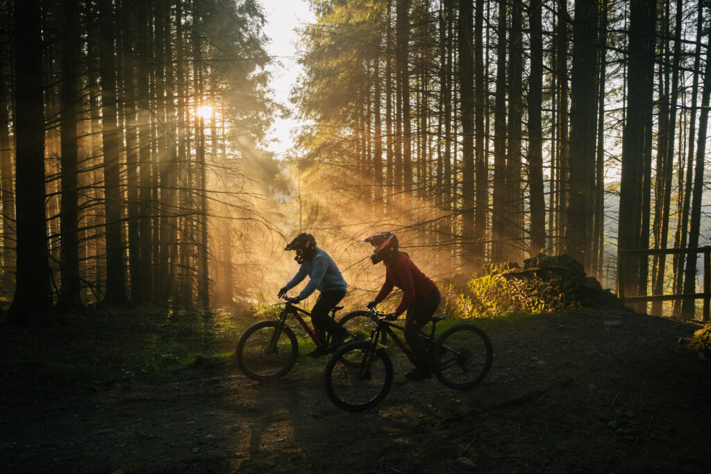 Two mountain bikers riding through a forest as sunlight streams between the trees.