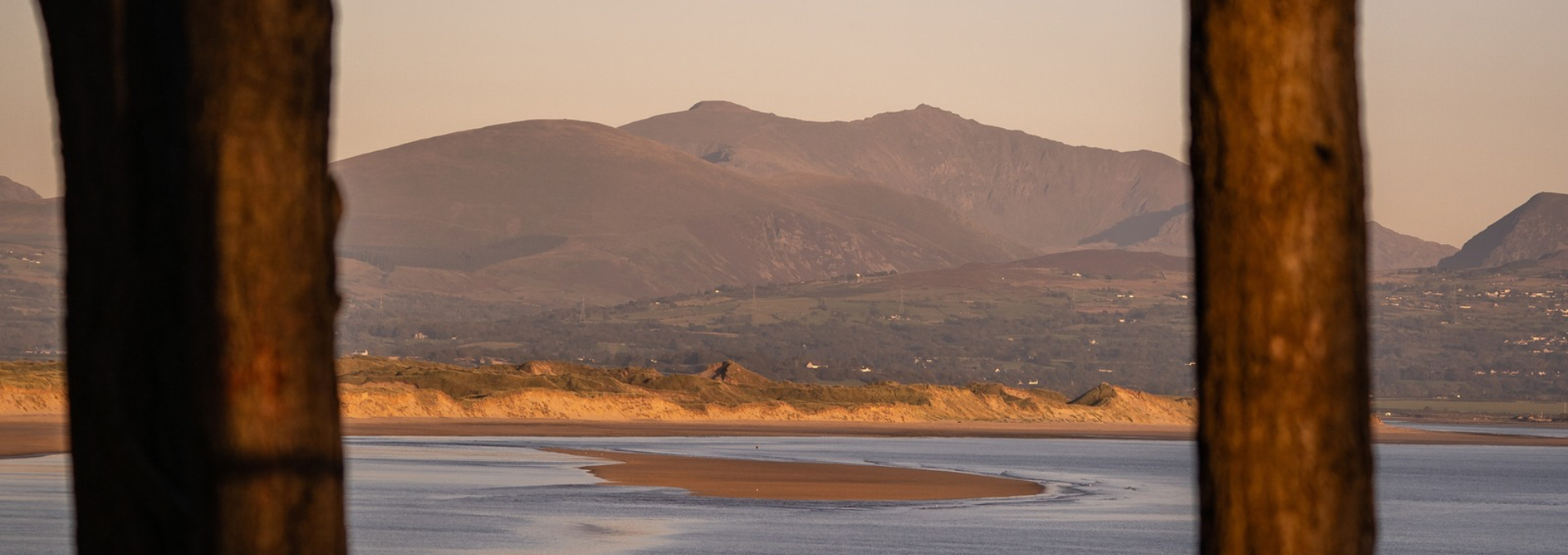 Coastal water and distant mountains in warm autumn light, framed by tree trunks.