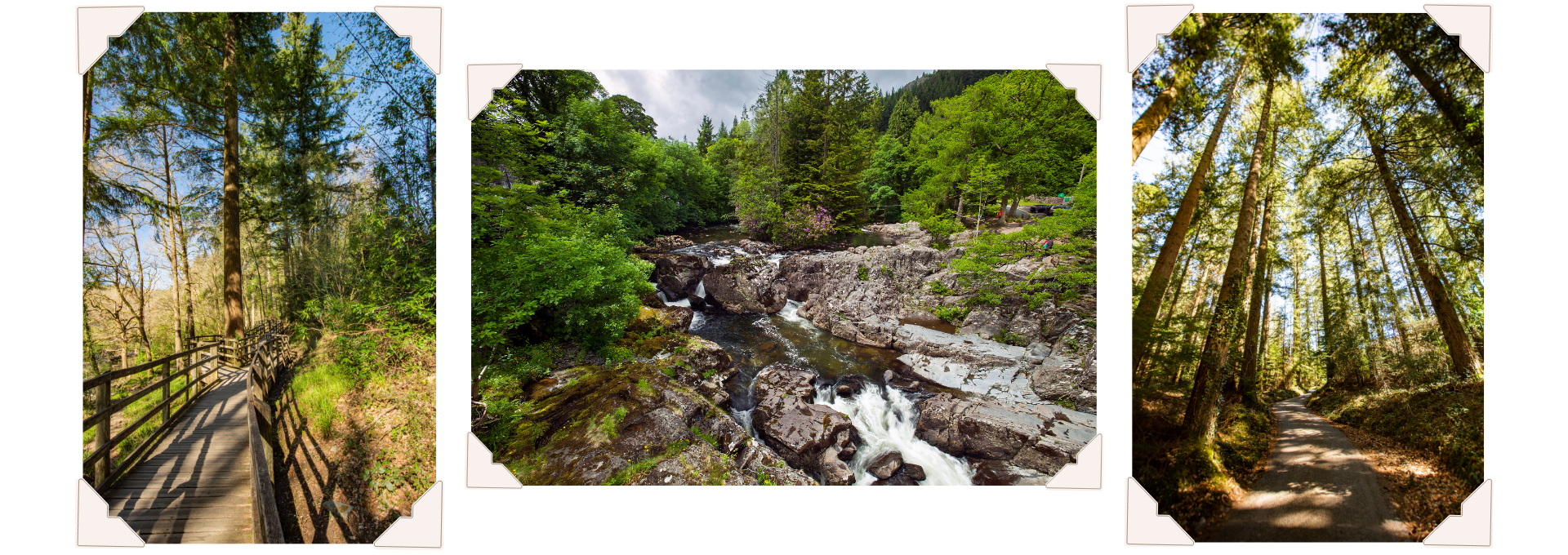 Three photographs near Pont y Pair showing a wooden walkway, the rocky River Llugwy and sunlight through tall woodland trees. Photo credit: Alex Davies / IG @alex.davies