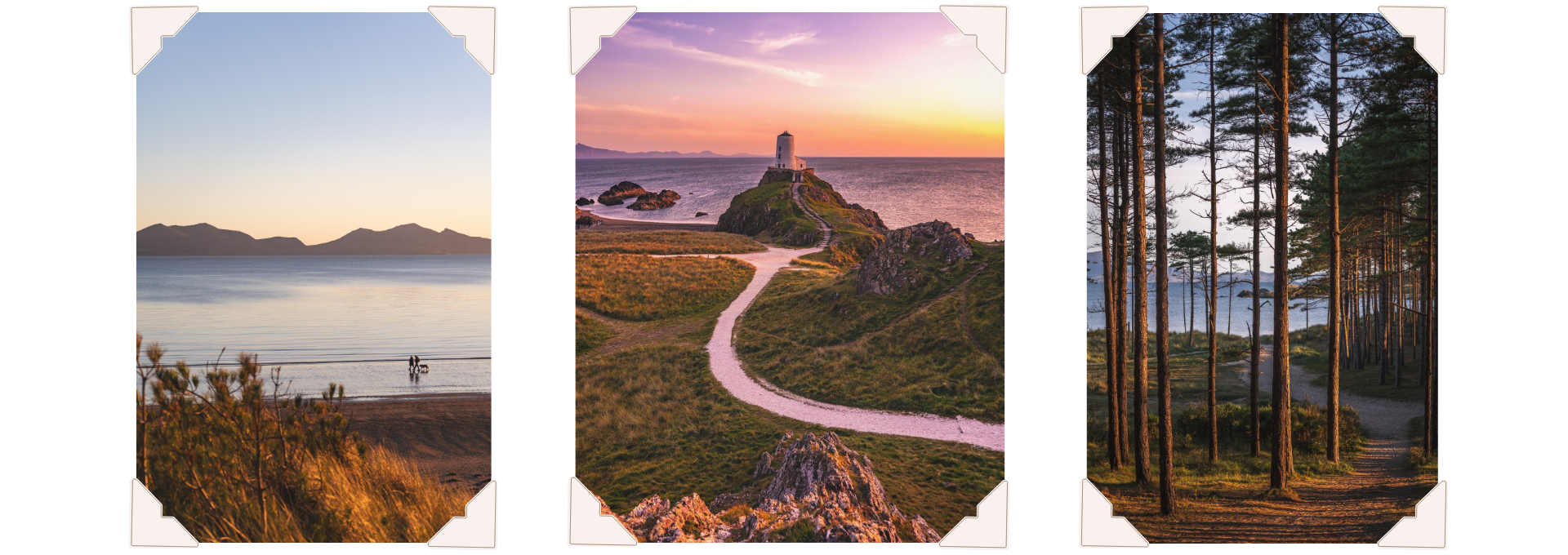 Three photographs showing Newborough’s coast, a winding path to Llanddwyn’s lighthouse beneath a pink sky, and sunlight through pine trees. Photo credit: Alex Davies / IG @alex.davies