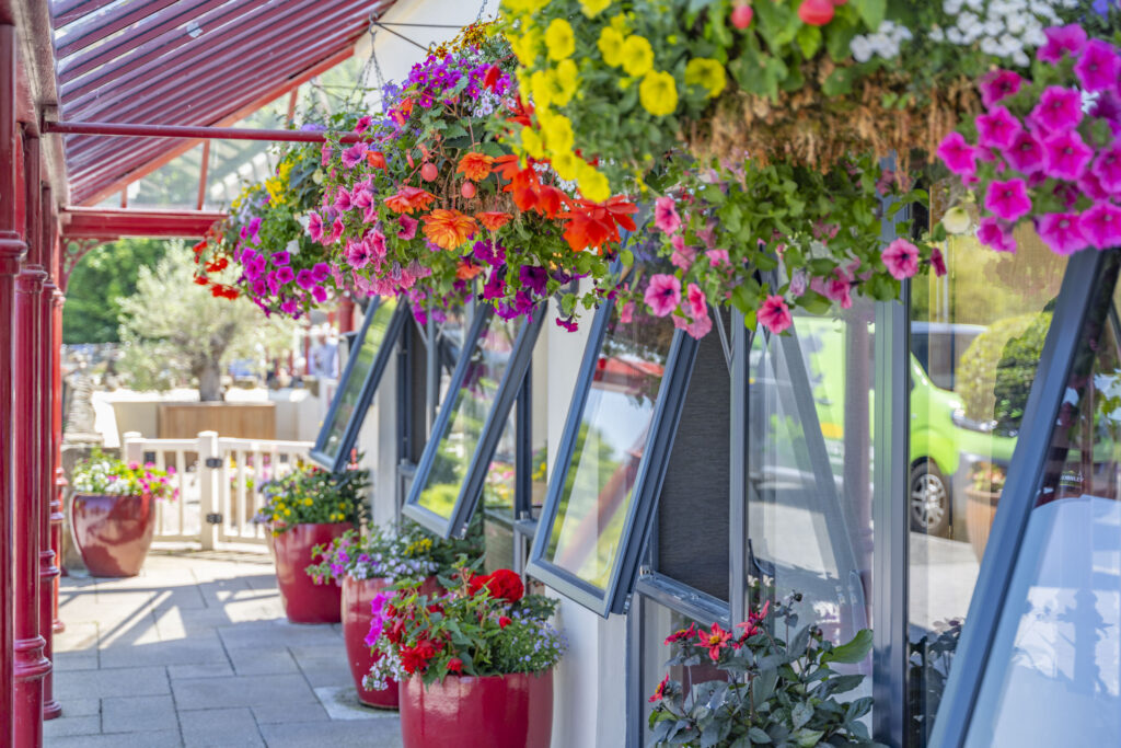 A Blooming Brilliant Year! Thornley Leisure Parks Celebrates Seven Gold Awards at Wales in Bloom 2026