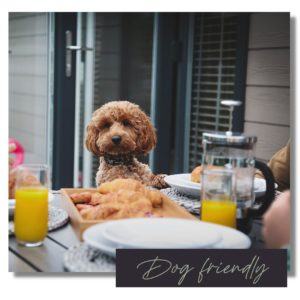 Dog friendly holiday parks